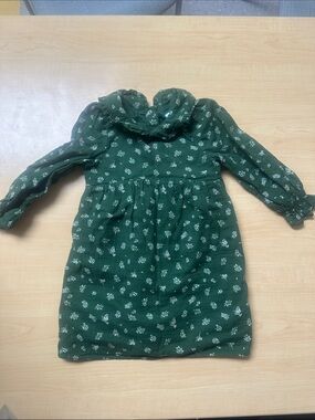 Kids Green Floral Long-Sleeve Dress - cloud island